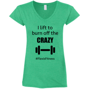 Fitted V-Neck T-Shirt - Funny Gear - Flexis Fitness