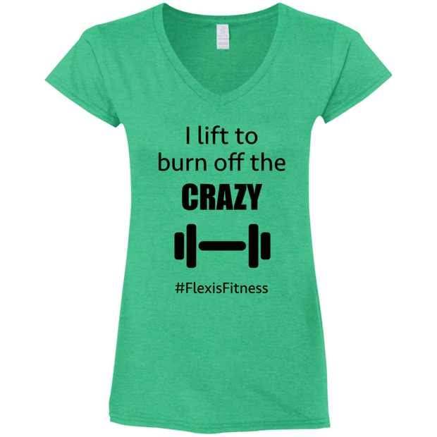 Fitted V-Neck T-Shirt - Funny Gear - Flexis Fitness