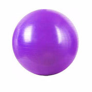 Stability Ball - Cross Training Gear - Flexis Fitness